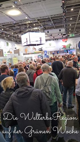 Video post from Welterberegion Anhalt-Dessau-Wittenberg e.V..