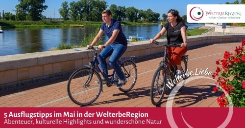 Carousel post from Welterberegion Anhalt-Dessau-Wittenberg e.V..