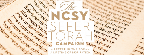 Photo post from NCSY.