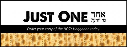 Photo post from NCSY.
