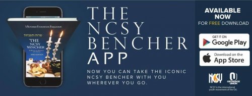 Photo post from NCSY.