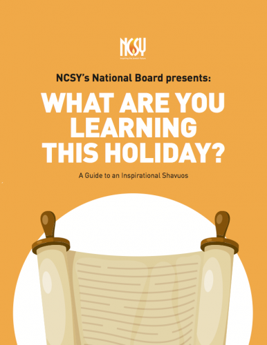 Photo post from NCSY.