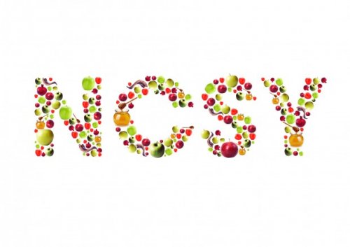 Photo post from NCSY.