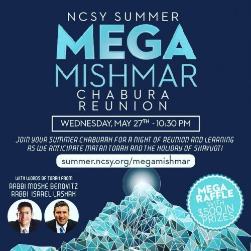 Photo post from NCSY.