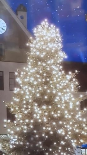 Video post from Appleby House.