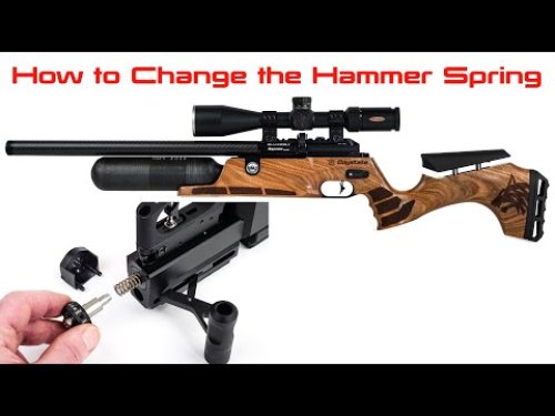 Video post from airgunsofarizona.