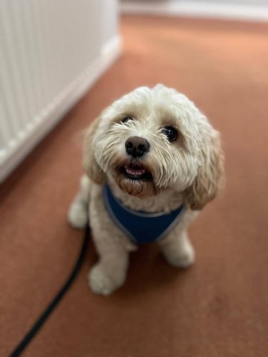 Carousel post from Jubilee House Care Home.