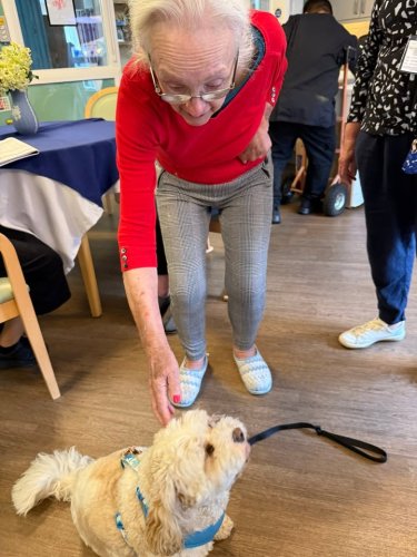 Carousel post from Jubilee House Care Home.