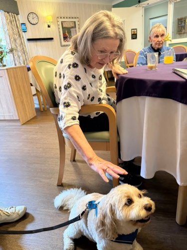 Carousel post from Jubilee House Care Home.