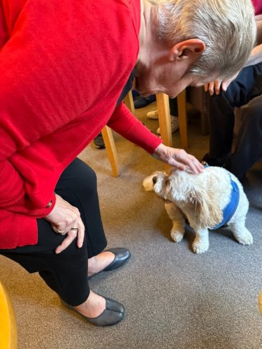 Carousel post from Jubilee House Care Home.