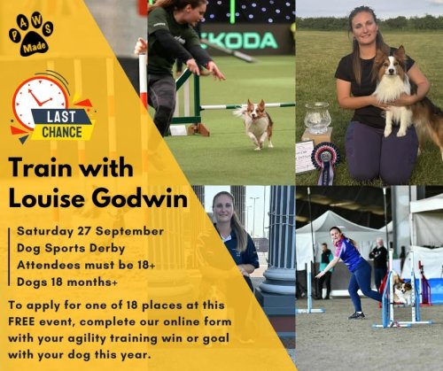 Photo post from Pawstrading Ltd.