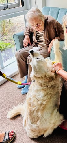 Carousel post from Scarlet House Care Home.