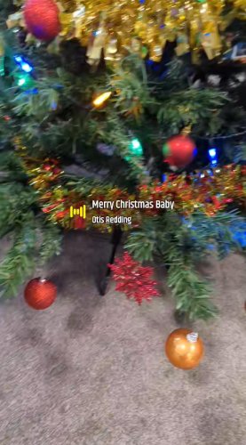 Video post from Ventress Hall care home.
