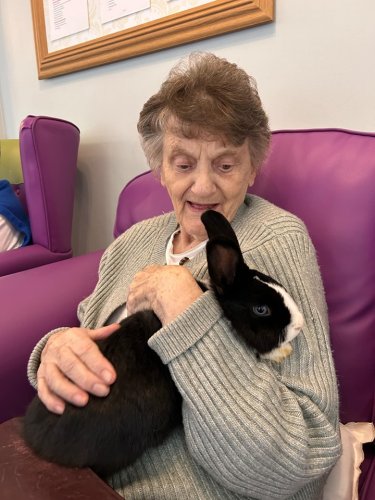 Carousel post from Ventress Hall care home.