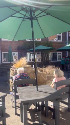 Video post from Ventress Hall care home.