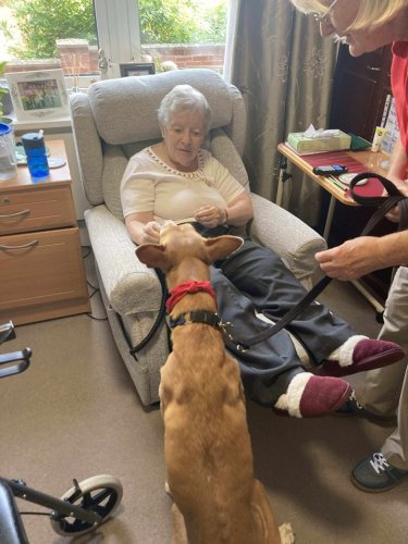 Carousel post from Ventress Hall care home.