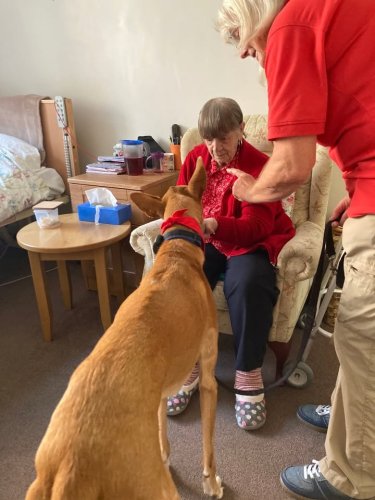 Carousel post from Ventress Hall care home.