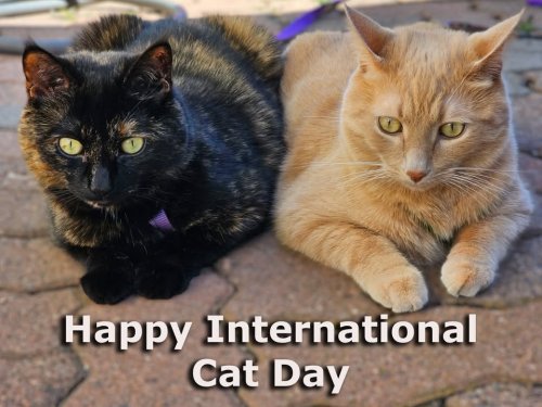 Photo post from Manitoba First Nations Police Service.