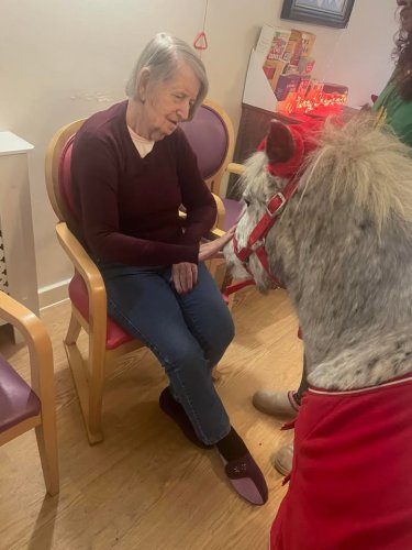 Carousel post from Amberley Lodge Care Home.