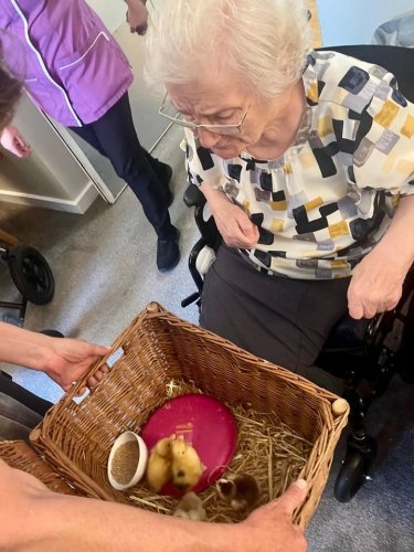 Carousel post from Amberley Lodge Care Home.