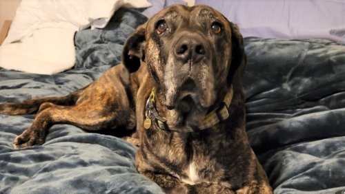 Photo post from Western RV Country.