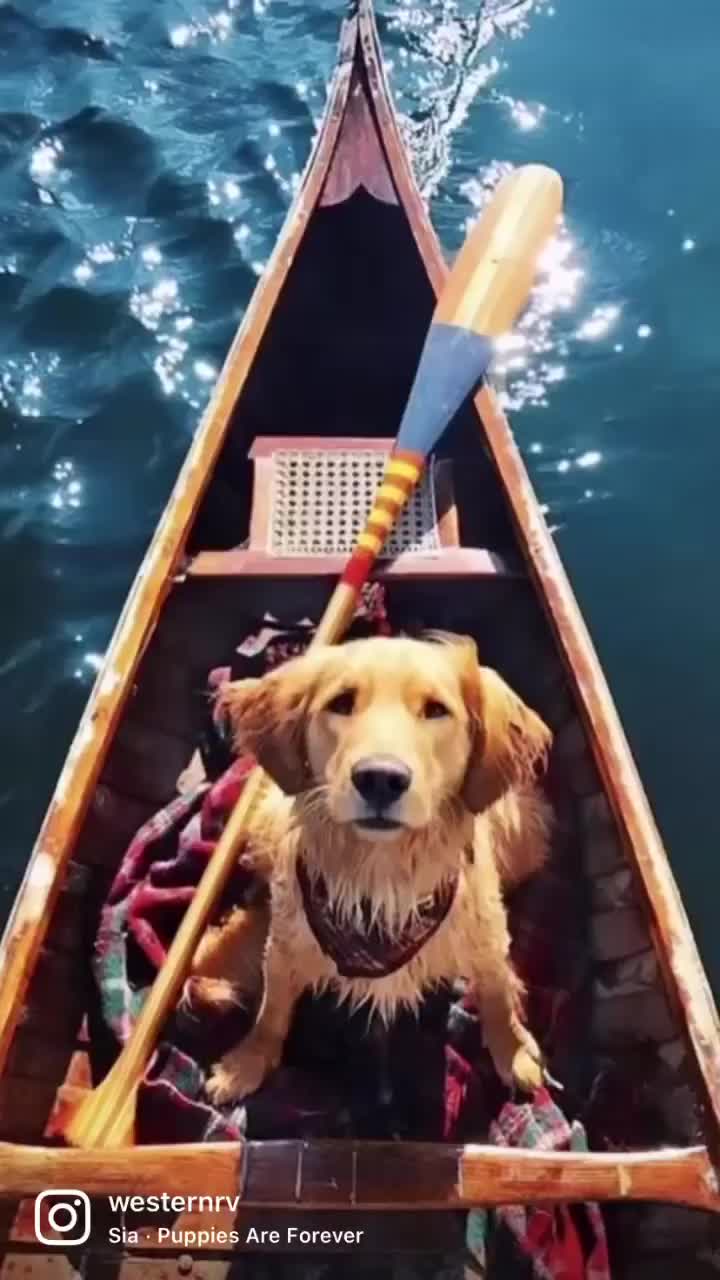 Video post from Western RV Country.