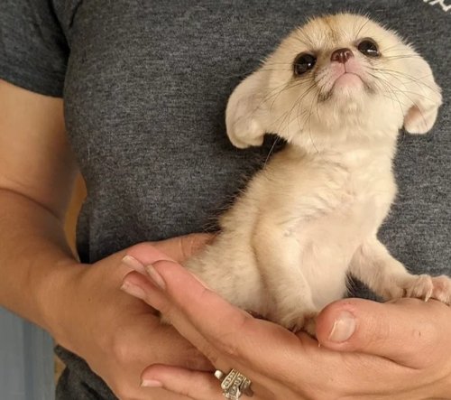 Photo post from Western RV Country.