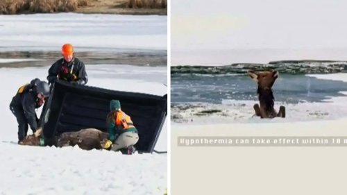 Photo post from Western RV Country.