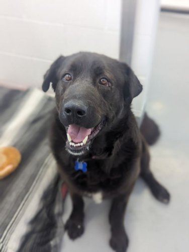 Carousel post from Western RV Country.