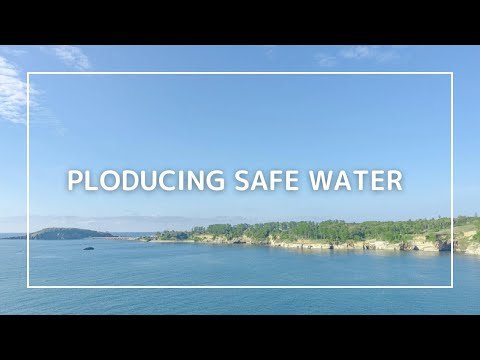 Video post from Youth Water Forum.