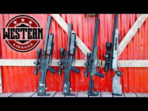 Video post from airgunsofarizona.