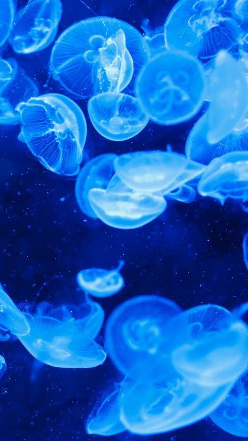 Video post from BYU Religious Studies Center.