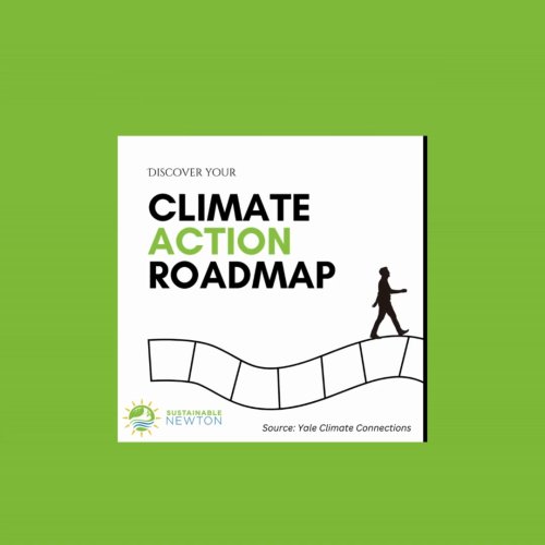 Video post from Sustainable Newton.