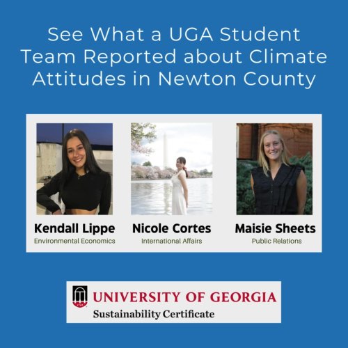 Video post from Sustainable Newton.