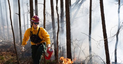 Photo post from Sustainable Newton.