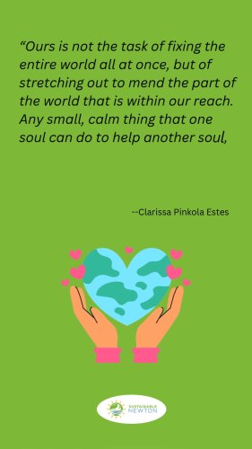 Video post from Sustainable Newton.