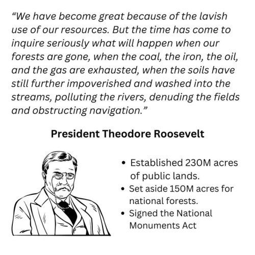 Carousel post from Sustainable Newton.