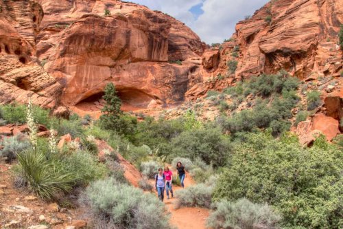 Photo post from Sustainable Newton.