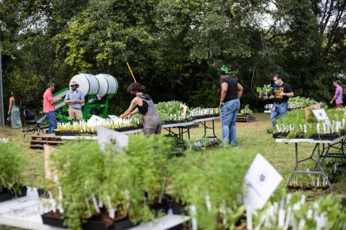 Photo post from Sustainable Newton.