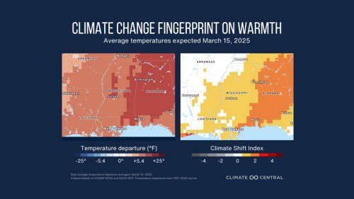 Photo post from Sustainable Newton.