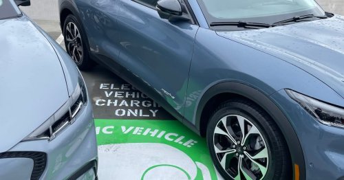 Photo post from Sustainable Newton.