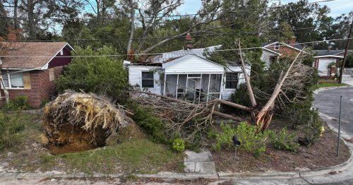 Photo post from Sustainable Newton.