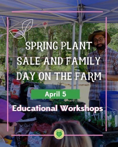 Carousel post from Sustainable Newton.