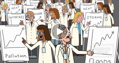 Photo post from Sustainable Newton.