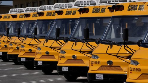 Photo post from Sustainable Newton.