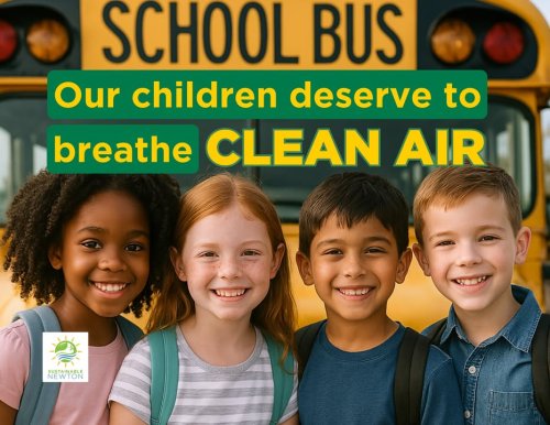 Photo post from Sustainable Newton.