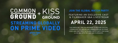 Photo post from Sustainable Newton.