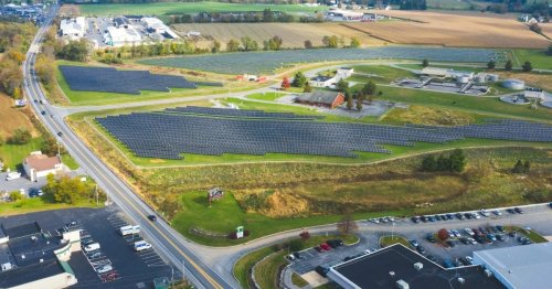 Photo post from Sustainable Newton.