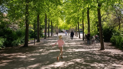 Photo post from Sustainable Newton.