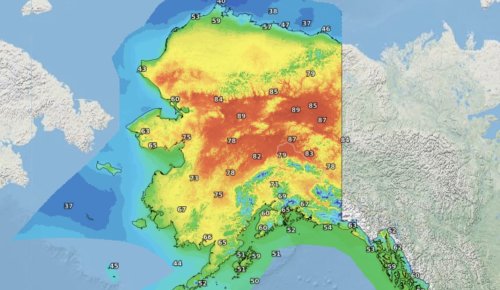 Photo post from Sustainable Newton.
